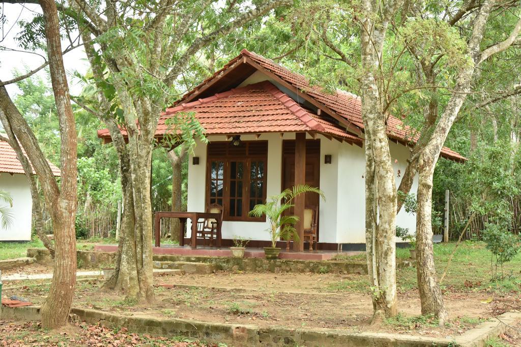 King'S Elephant Cabanas & Restaurant Tangalle Buitenkant foto